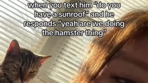 tiktok sunroof hamster|what is a sunroof hamster.